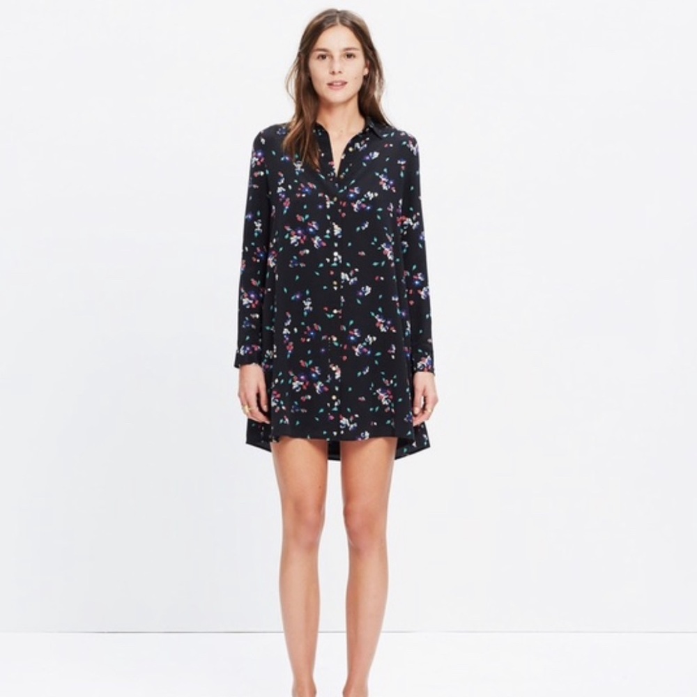 Madewell / Sezane Silk Dress